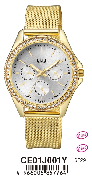 Q&Q Mod. LADY DIGITAL DAY DATA 24H